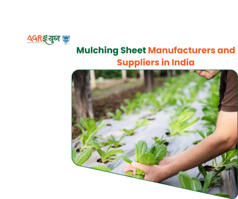 Mulching Sheet