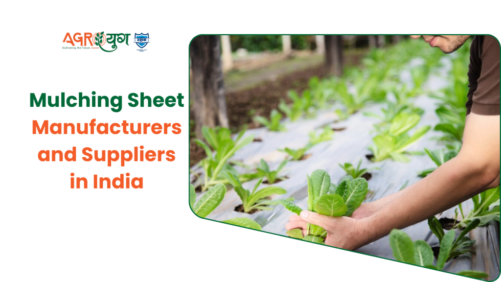Mulching Sheets